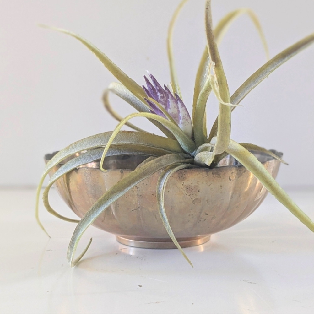 Vintage 1970’s Fluted Brass Bowl with Ceramic Floral Frog Insert 🌸✨